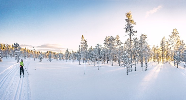 Innovative Interface for Enhanced Training